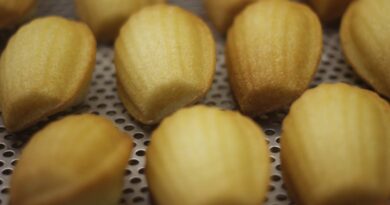 The Joy of Baking Classic Madeleines