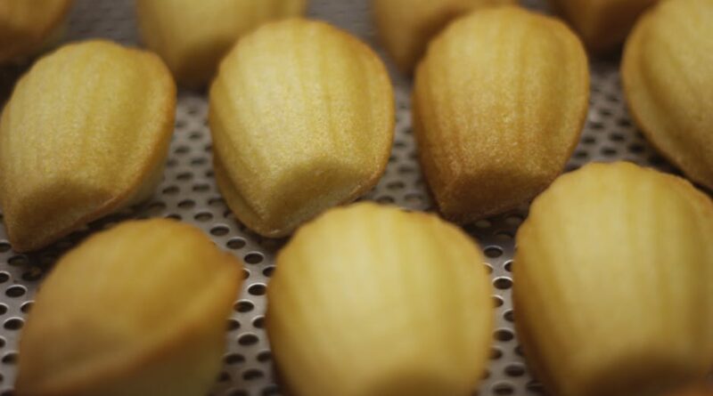 The Joy of Baking Classic Madeleines
